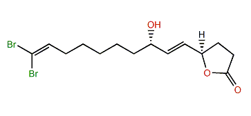 Xestospongiene D